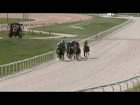 2021.08.08. 02. futam - PESTI NAPLÓ HENDIKEP (V.o.) (szintetikus pálya)