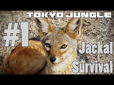 Tokyo Jungle - Jackal Survival Part 1