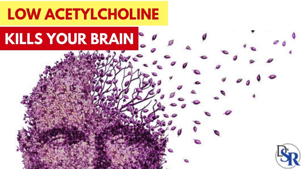 🧠 WARNING: Low Acetylcholine = Bad Memory, Alzheimer's, Parkinson's