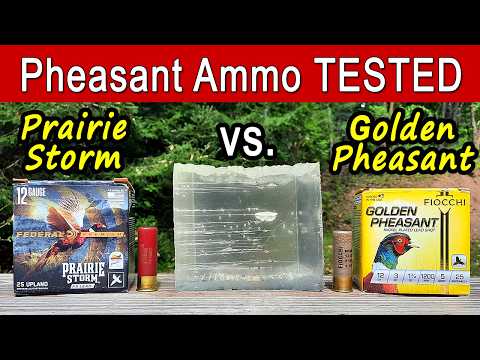 Federal Prairie Storm vs. Fiocchi Golden Pheasant Ammo | TESTED