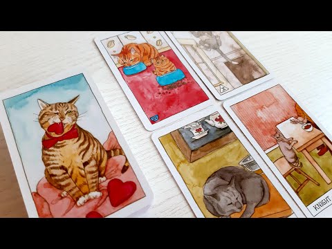 Wochenbotschaft 12.12.-18.12.22 | Du hast viel durchgemacht.. Gönne Dir eine Pause😊🙏Tarot