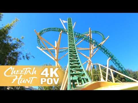 On-ride point of view of Cheetah Hunt