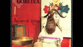 Goretex-Momentary Lapse of Reason