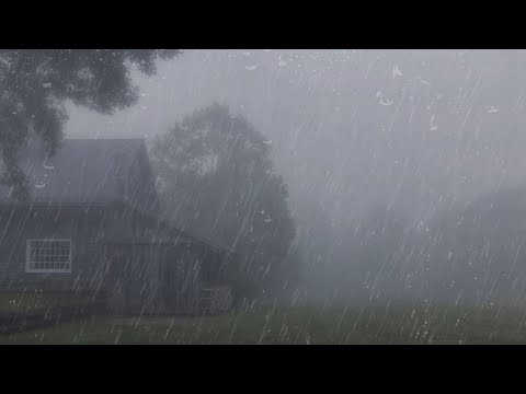 Try Listening for 10 Minutes and Sleep Immediately - Rain Sounds and Thunder Sound in Foggy Forest