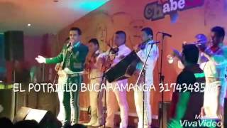 Video de Mariachi El Potrillo