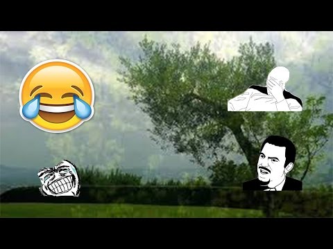 Le battute di Dark #1