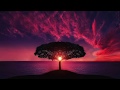 10 Minute Mindful Breathing Meditation