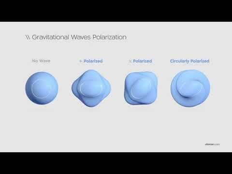 Visualizations of Gravitational Waves' transverse Polarizations: Plus, Cross, Circular