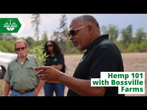 Planting Party: Bossville Farms cultivates the next generation of SC hemp farmers