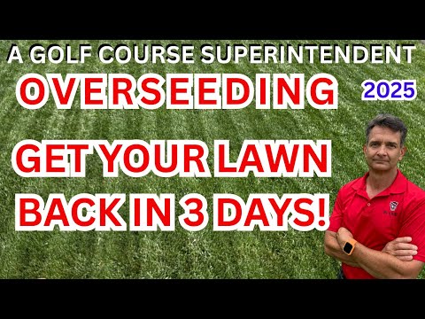 Overseeding. How I Got Grass to Grow in Just 3 Days After a Drought!