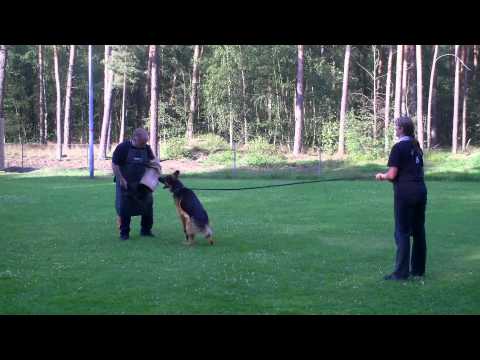 Ausbildung im Schutzdienst - Yago de Tuhoco  Can