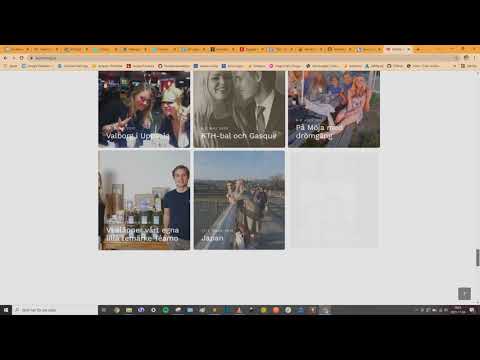 Vår bröllopshemsida - leijonlustig.se