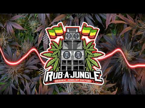 🟩🟨🟥NINA SIMONE - Feeling Good (NEOH Remix - Free Download )