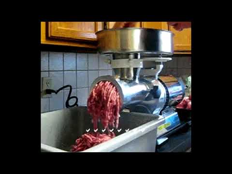 CHATO MENOR - TERRENAL