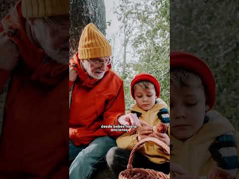 Jorge Emilio Navarro Palmera-11