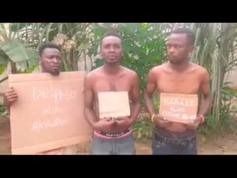 Bandits africain - camerounais🤣💪