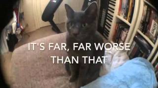 Future of the Left - The Peace and Truce of Future of the Left - Out 1st April 2016