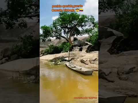 puerto Carreño Vichada colombia 🇨🇴 #musica #música #envivo #tradicion #parati