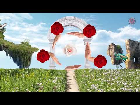 SNDKT PRI - TORANG ( Official Music Video )