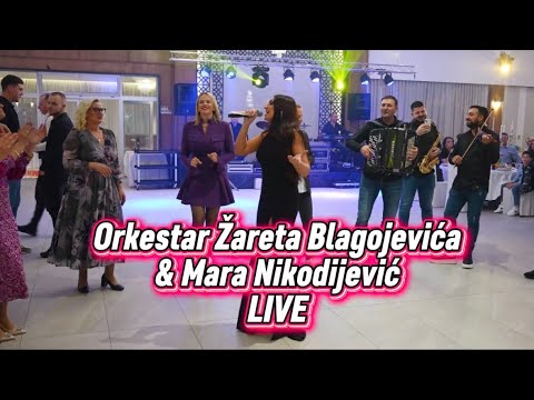 Mara Nikodijević & Orkestar Žareta Blagojevića - ŽIKA (live) BIJELJINA 