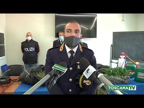 2020-11-10 PRATO - MAXI SEQUESTRO DI MARIJUANA IN CAPANNONE,2 ARRESTI