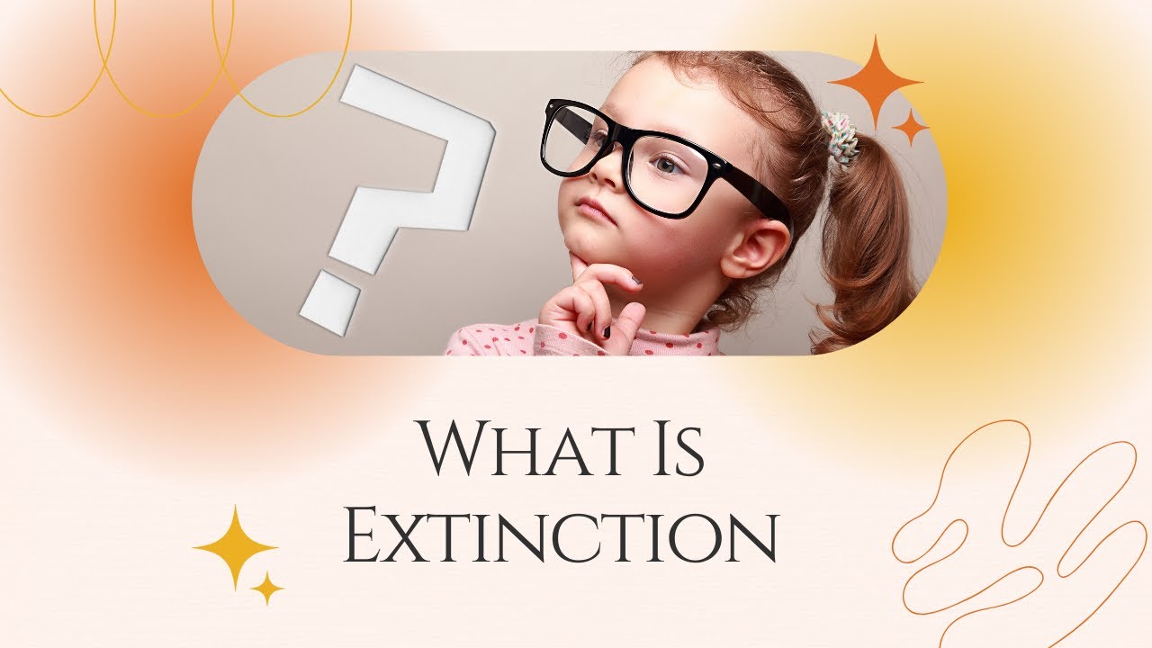 Extinction Explained: ABA Insights for Behavior Modification