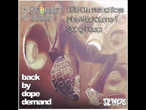 Drum and Bass 2016 Vinyl Session  DelicateBeats UK Volume 1