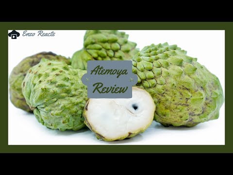 Atemoya Review + Taste Test