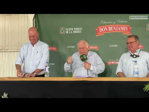 Comienzo del remate - Martilleros: Daniel Biocca, Marcos Achaval y Santiago Abdo