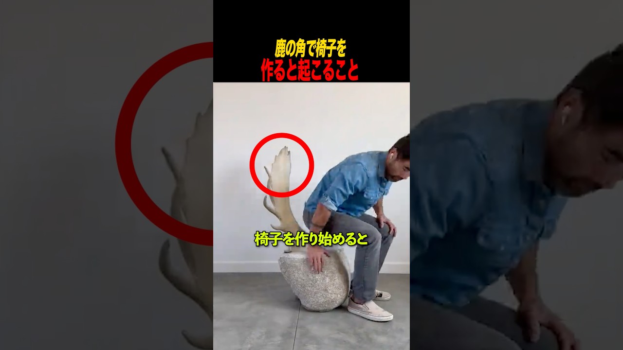 鹿の角で椅子を作ると起こること