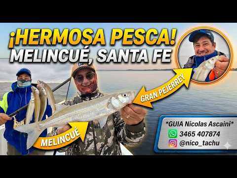 HERMOSA PESCA EN MELINCUE SANTA FE. GUIA Nicolas Ascaini 3465 407874 Instagram: nico_tachu