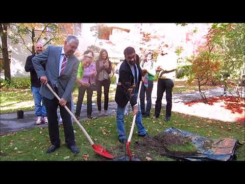 Elsbeere – Baum des Lebens