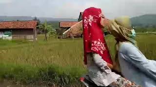 Download lagu Auracoustic - Filosofi kenangan (cover video clip) mp3