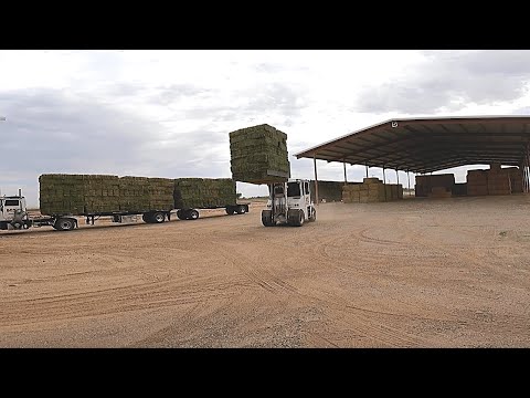 The Barn Before The Storm