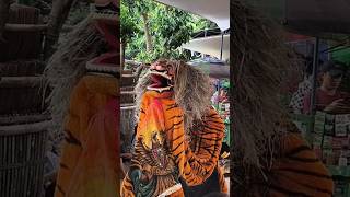 Download lagu Atraksi barongan terbesar suro menggolo #barongan #atraksi #shorts #trendingshorts mp3