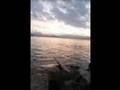 Paco De Lucia - Patio Custodio _Palma Arena 11 ...