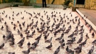 Jain Temple in Mattancherry, Kochi