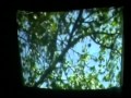 Trash Can Sinatras - Oranges and Apples