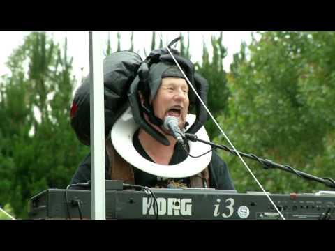 Flaxwood Festival 2012 - The Wolverines - The Redback On The Toilet Seat