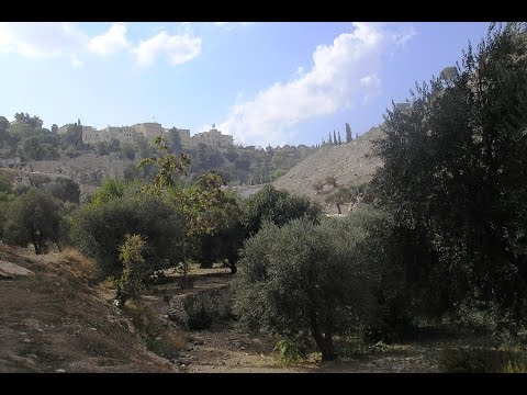 ARE THERE DIFFERENT DEGREE'S OF PUNISHMENT IN HELL JAMES JACOB PRASCH