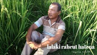 Download lagu jaipongan karawang.lalaki-raheut-hatena mp3