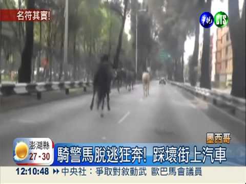 騎警馬脫逃狂奔 馬路成賽馬場!