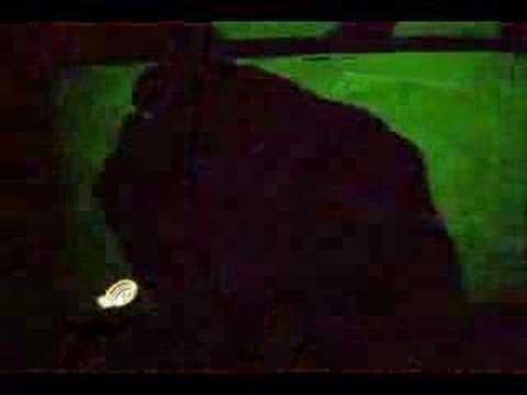 A REAL VIOLET PURPLE LASER! CHECK IT OUT!