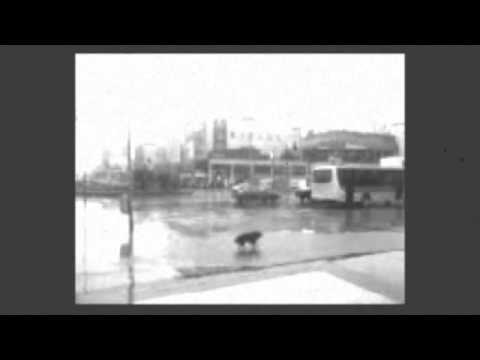 Rita video