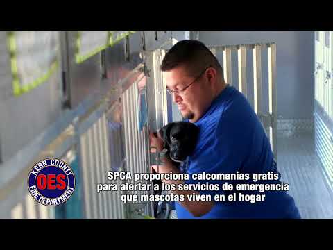 Kern County OES Disaster Kit