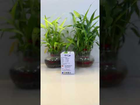 Cholecalciferol 60000 iu softgel (3d caps)