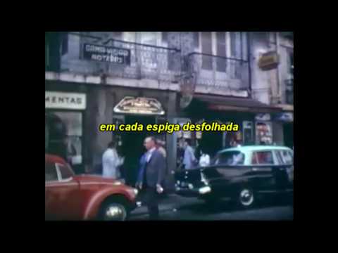 simone de oliveira - desfolhada portuguesa letra/lyrics