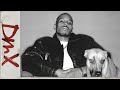 The REAL DMX Story (Documentary)