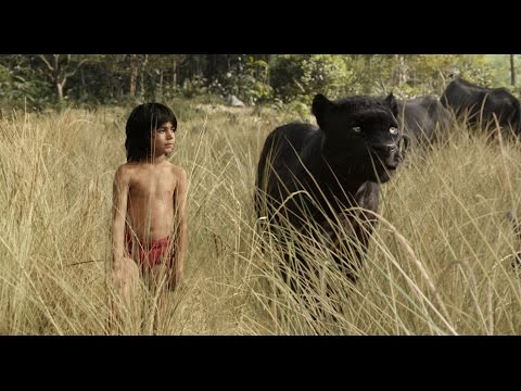 КНИГА ДЖУНГЛІВ / КНИГА ДЖУНГЛЕЙ. Трейлер 1 (український)
