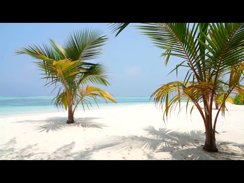 A Maldív-szigetek csodálatos világa